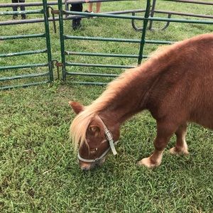 Meet your Posher, Glenna